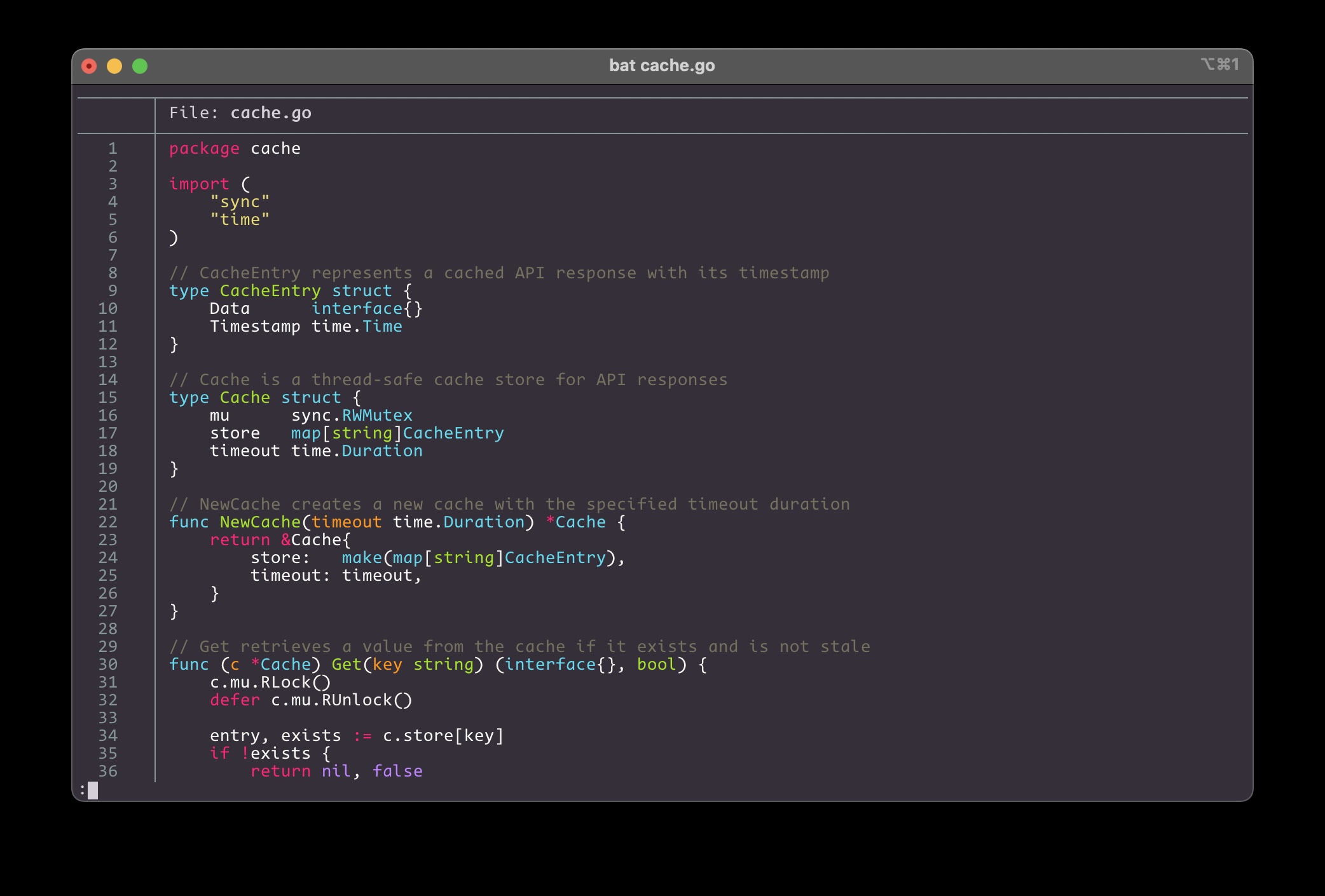 Screenshot of `bat` output