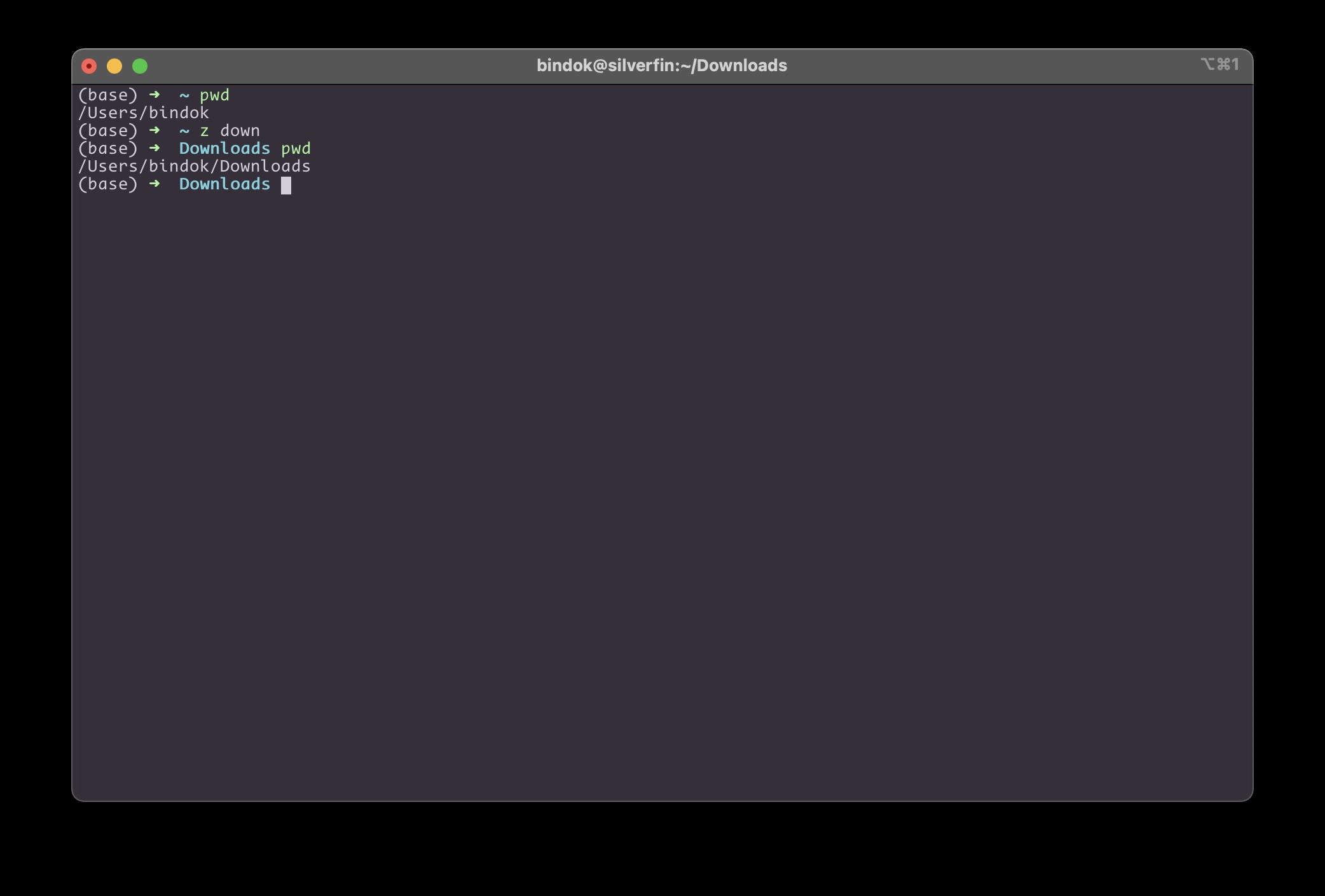 Screenshot of `zoxide` output