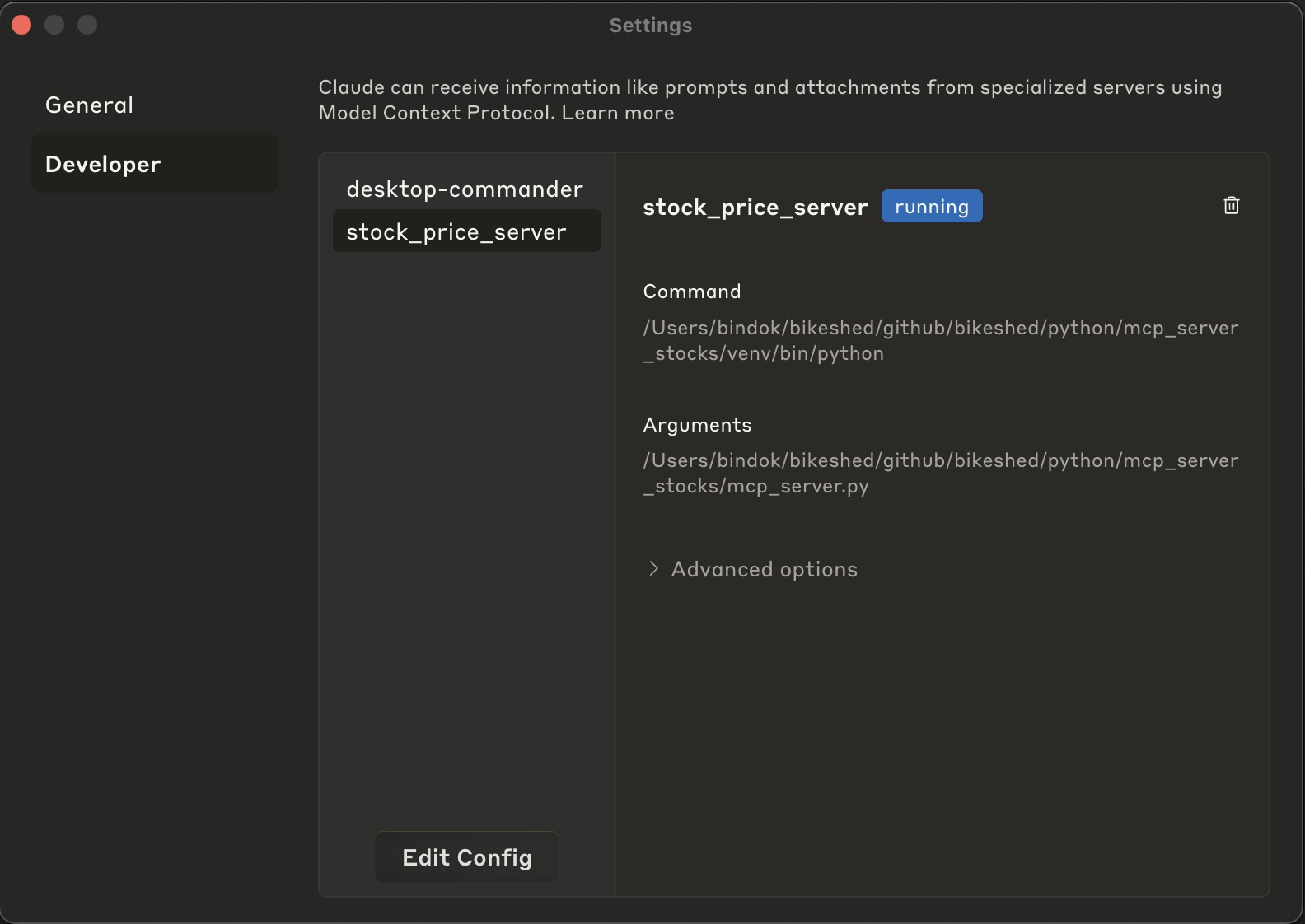 Claude Developer Settings